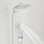Shower Head Combo