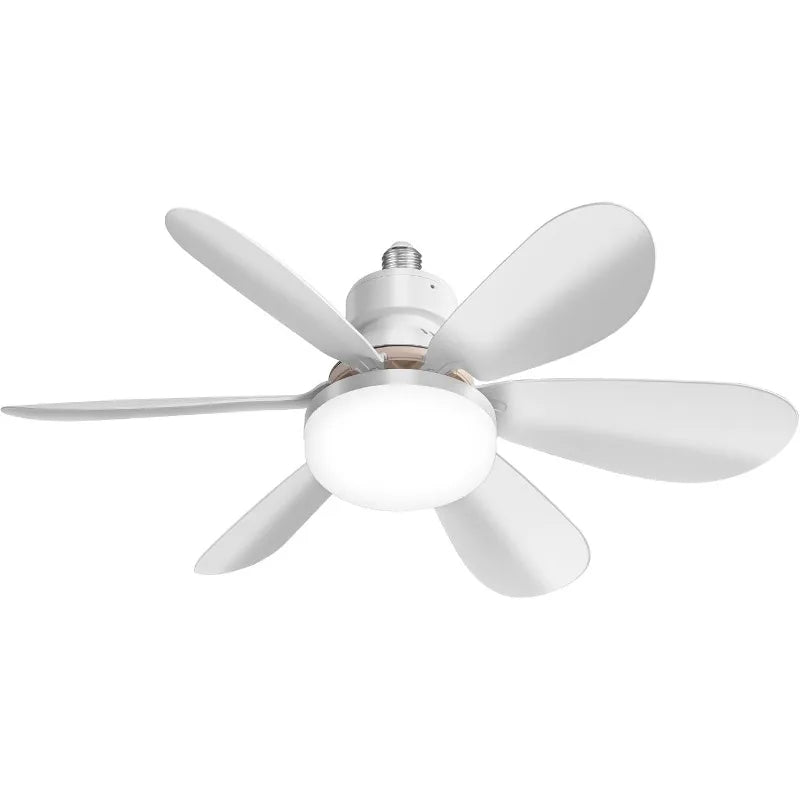 Ceiling Fan Light