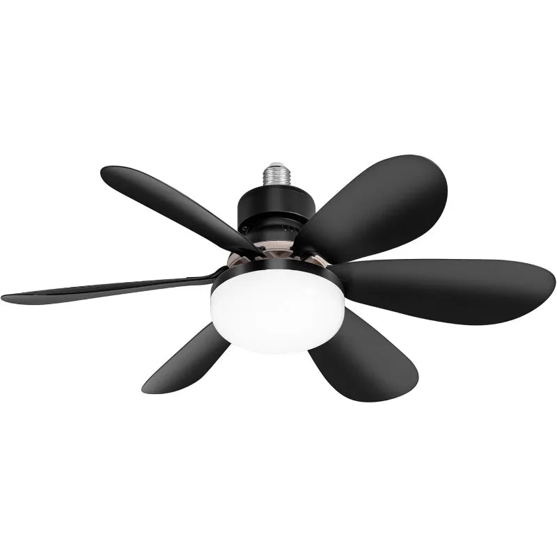 Ceiling Fan Light