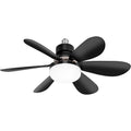 Ceiling Fan Light