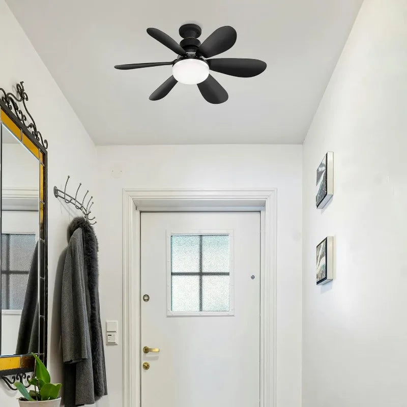 Ceiling Fan Light