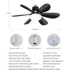 Ceiling Fan Light