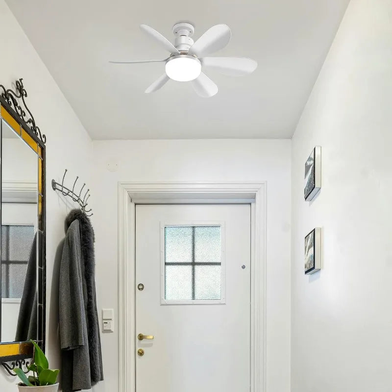 Ceiling Fan Light